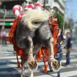 藤崎八旛宮例大祭、飾り馬の神幸行列は2019年は9月16日