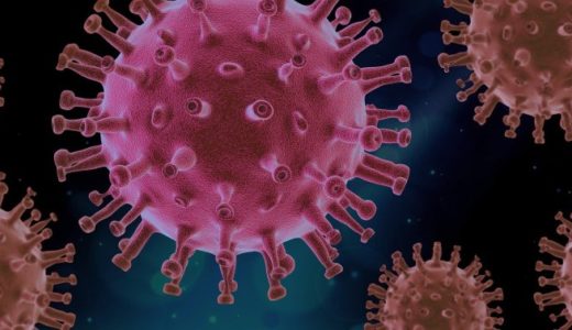 新型コロナウイルスの性質について知りたい人必見、日仏研究者のライブ配信