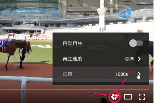 競馬パドック中継360VR画質変更